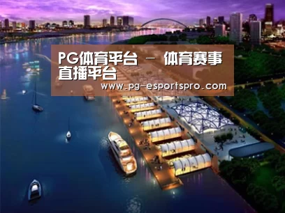 案例展示八