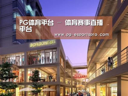 案例展示一